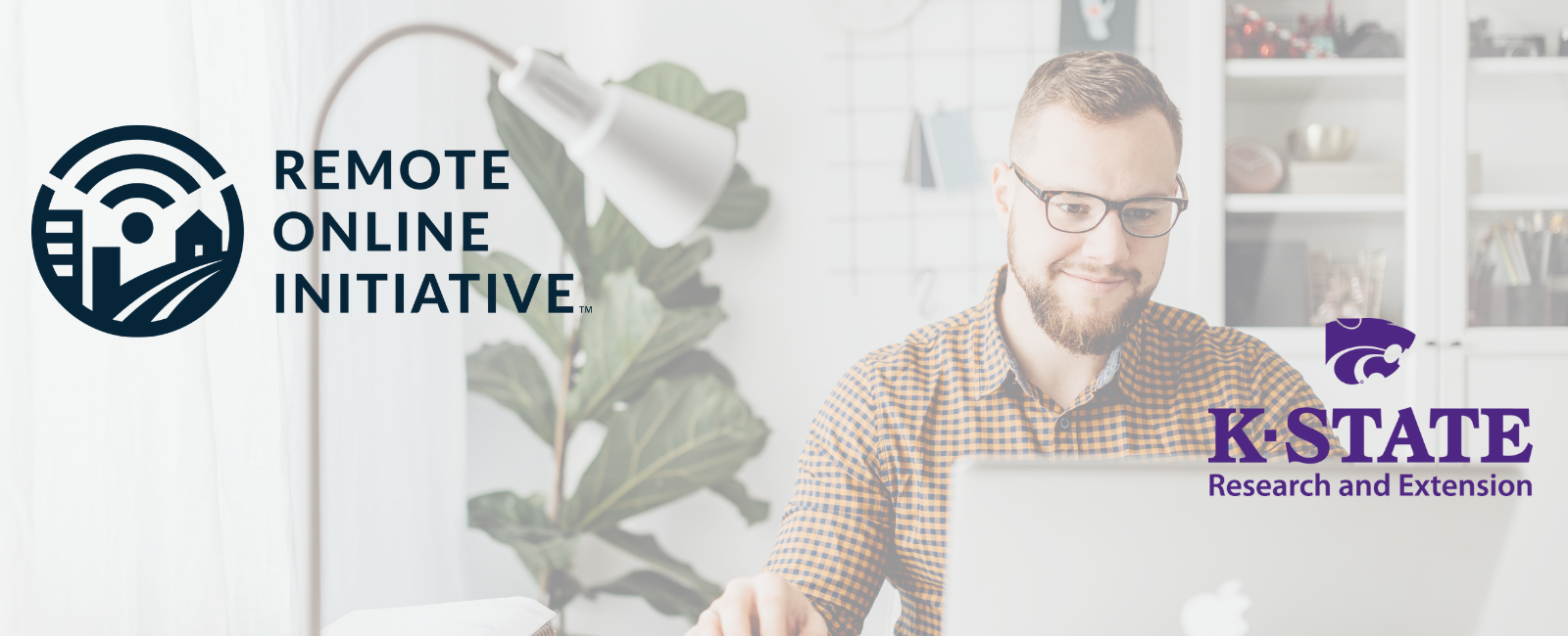 Remote Online Professional Worker masthead